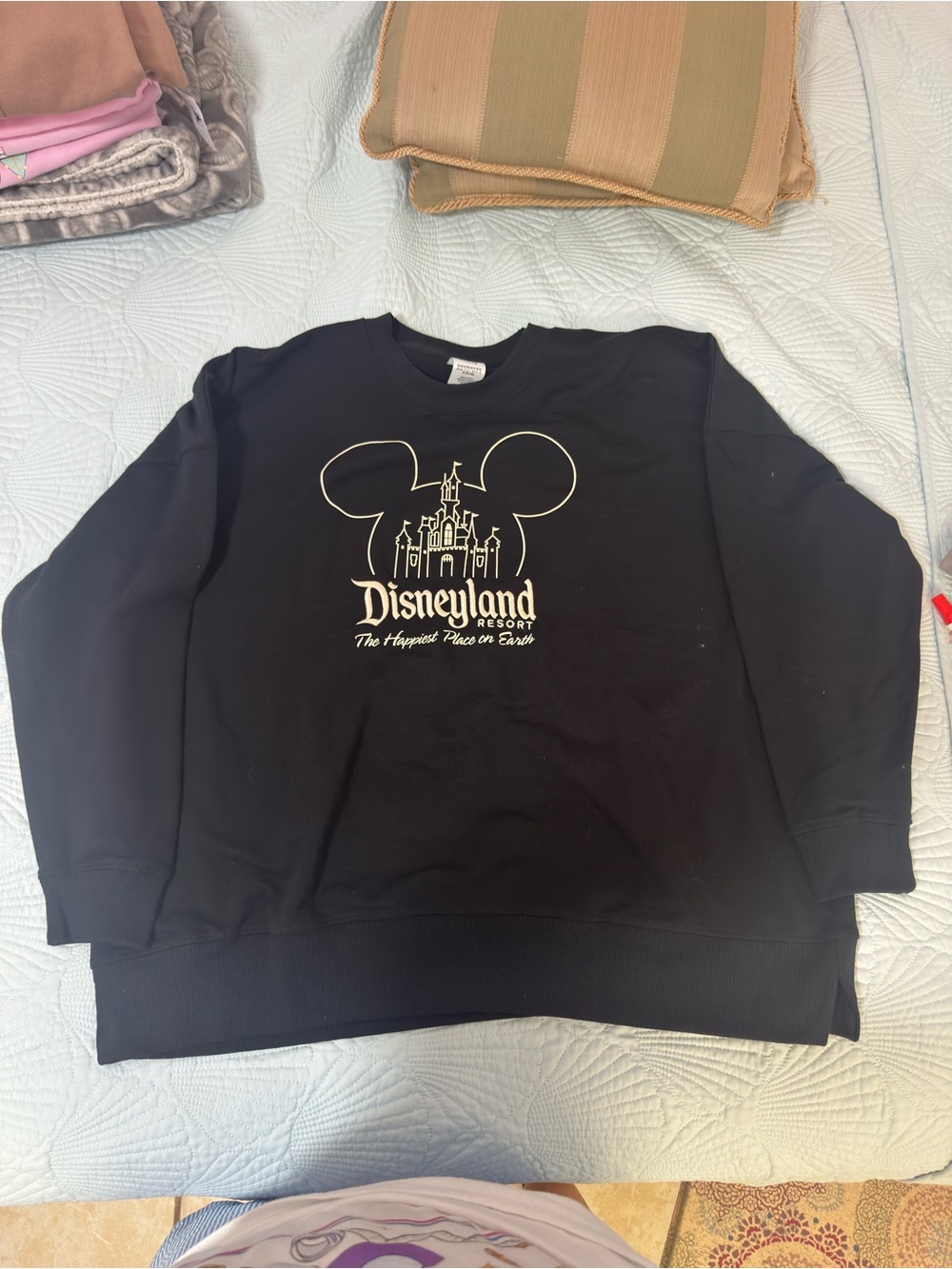 DLR- Mickey Icon Castle Park
Logo Black Pullover (Adult)